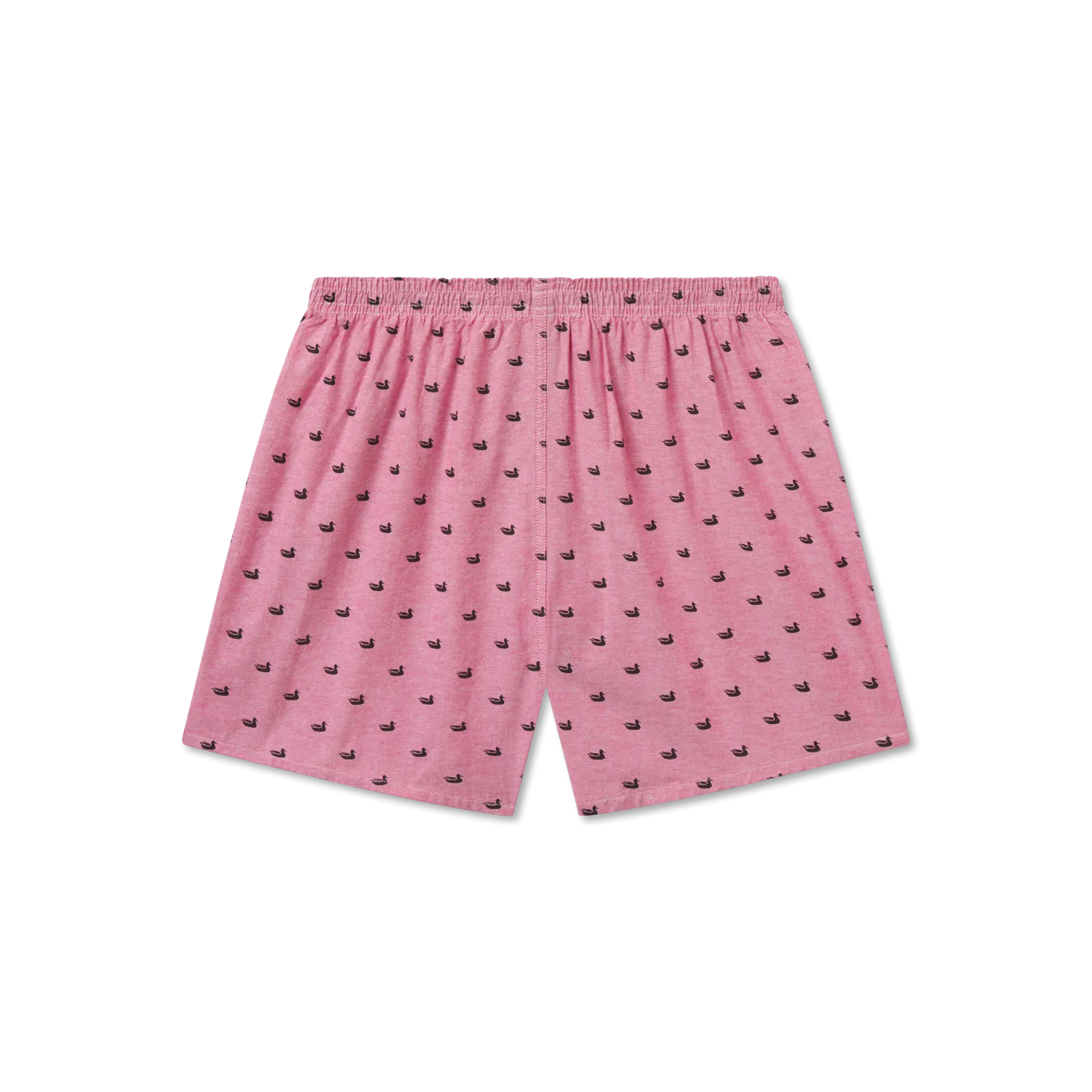 Hanover Oxford Boxer