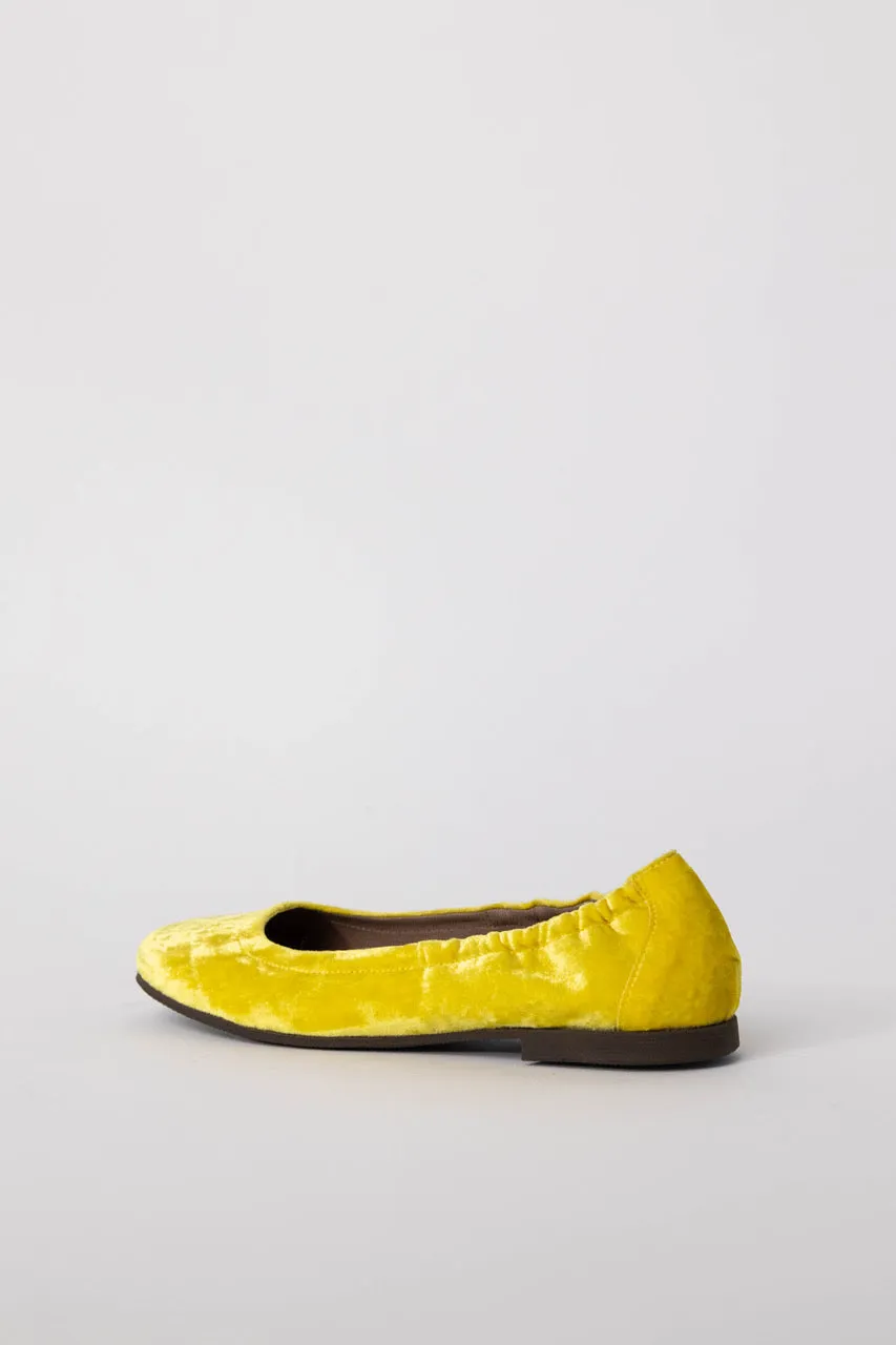 Velvet Ballerina Flats
